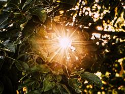 Deine Gnadensonne gehe jeden Morgen über meinem Leben auf