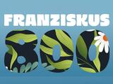 Franziskus 800